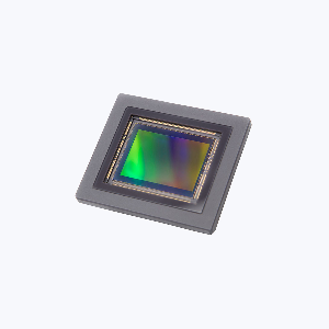2521C002