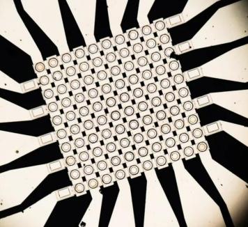 “塑料神经元”问世:替代硅器件让机器像人一样思考?