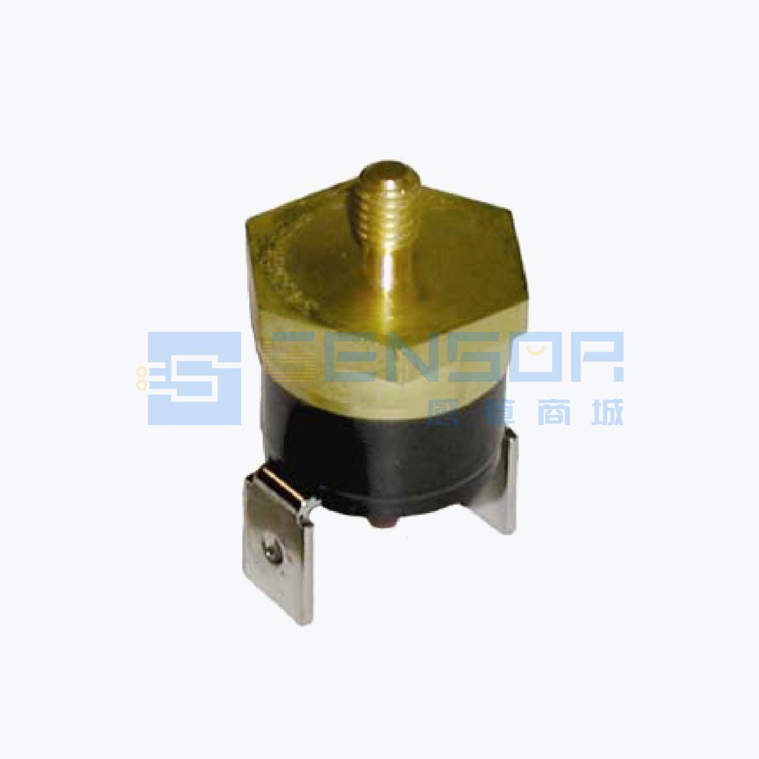 2455RM 81290040