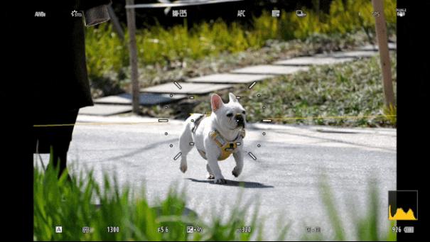 松下Lumix S1R2无反相机：传感器与DJI Ronin同款，照片视频两手抓！8
