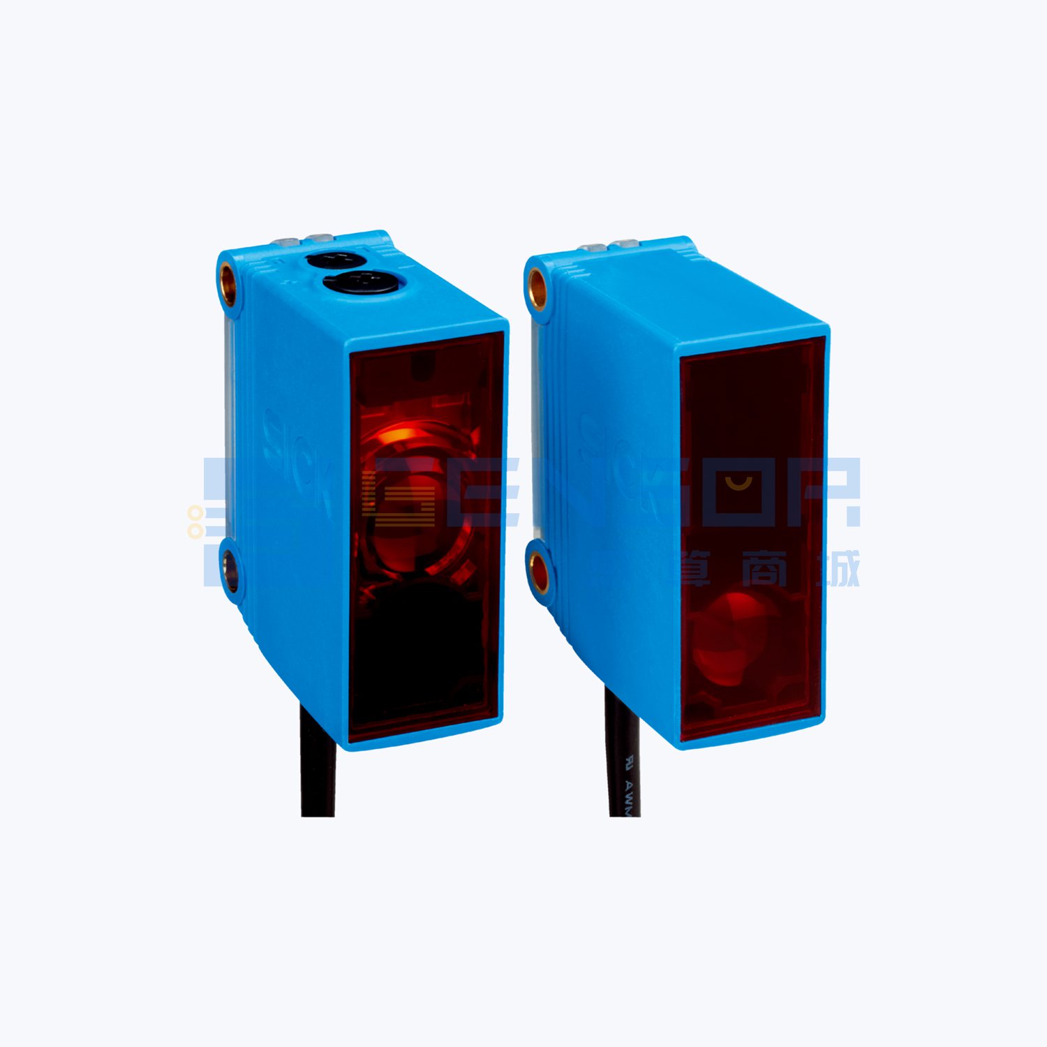 GSE10-P1211