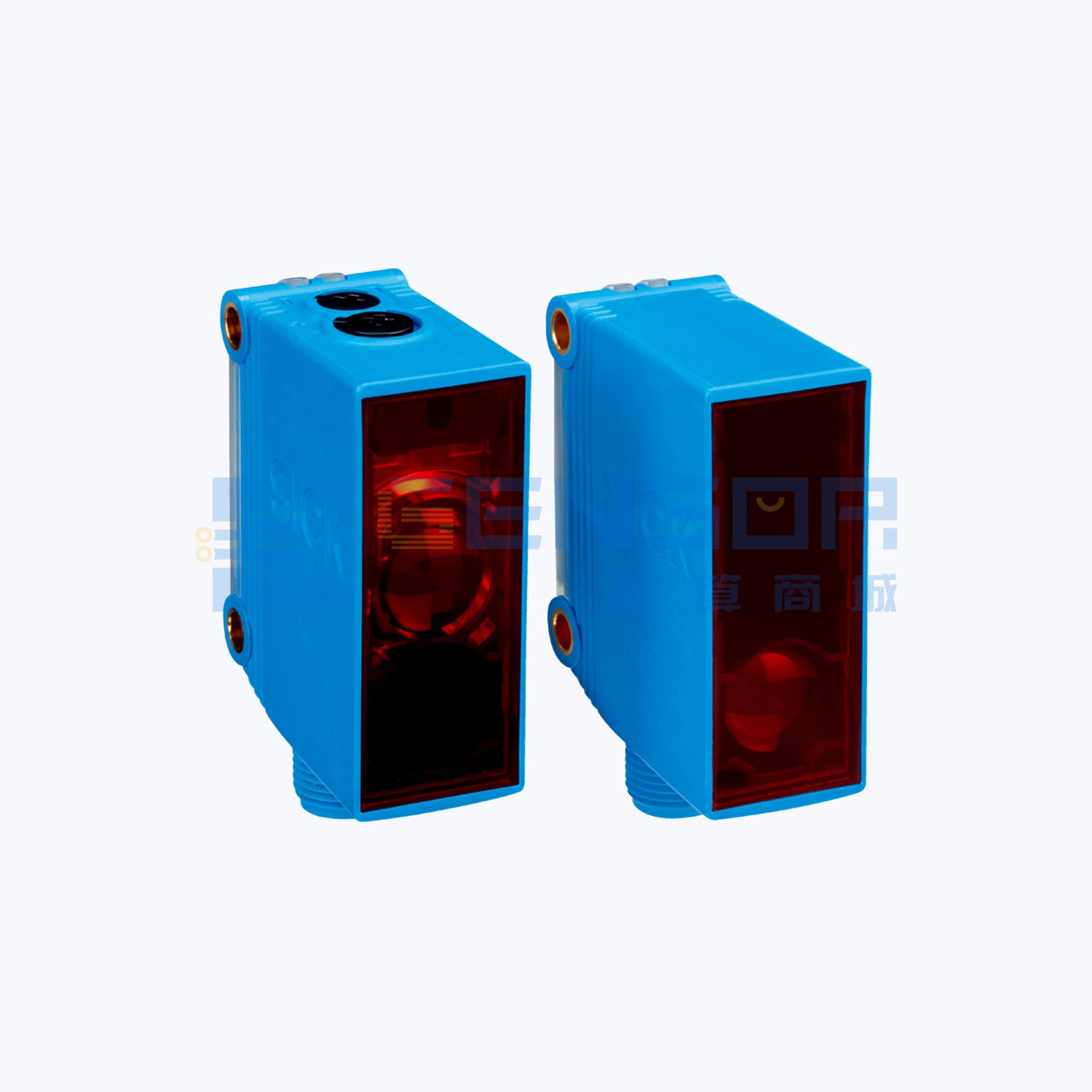 GSE10-P4221