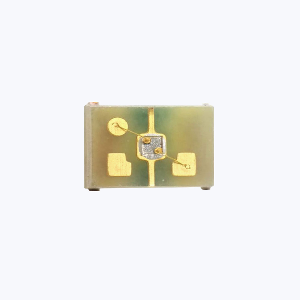 GUVA-C22SD