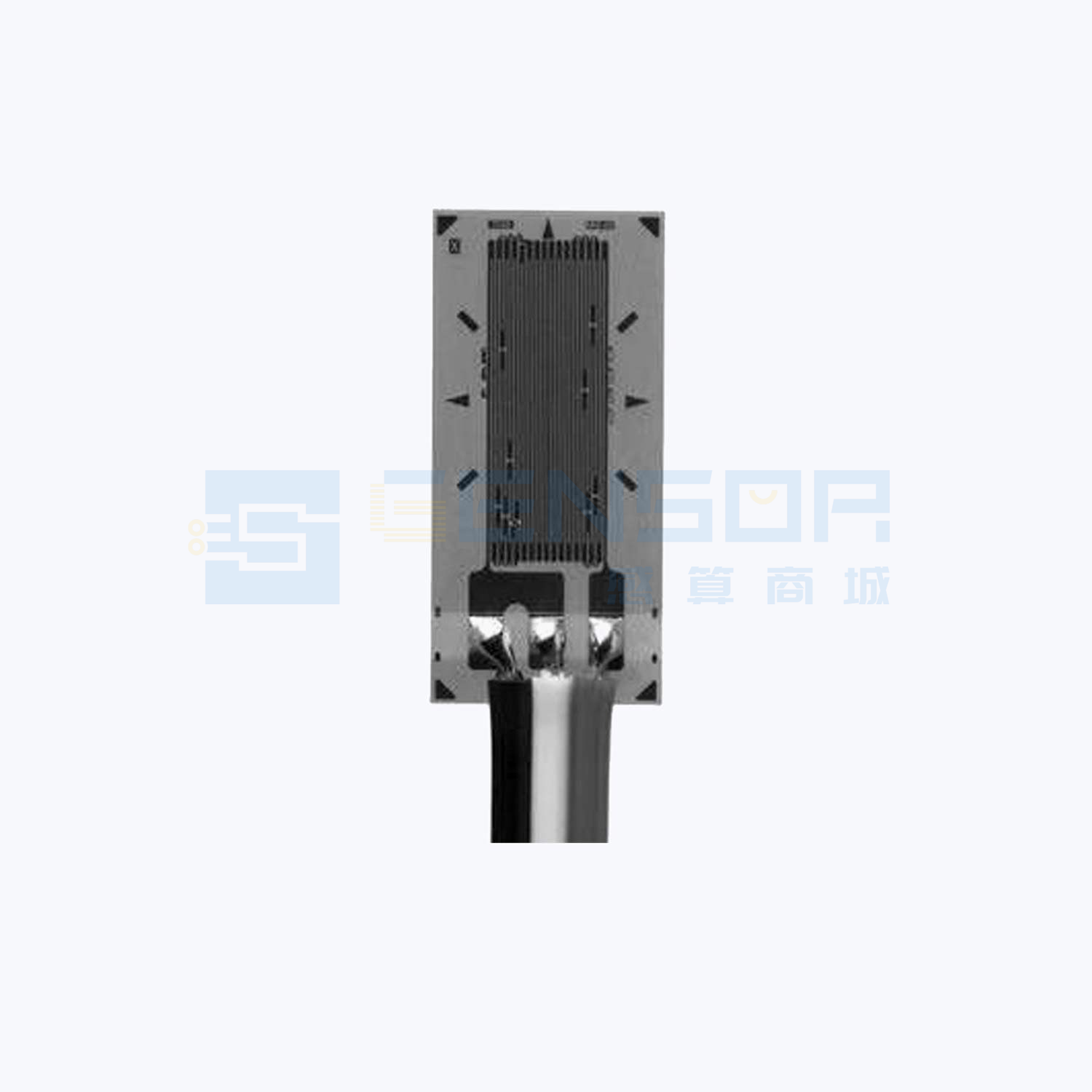 MMF405806