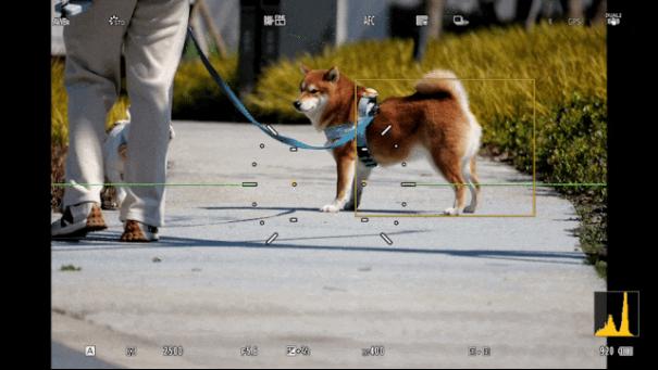 松下Lumix S1R2无反相机：传感器与DJI Ronin同款，照片视频两手抓！9