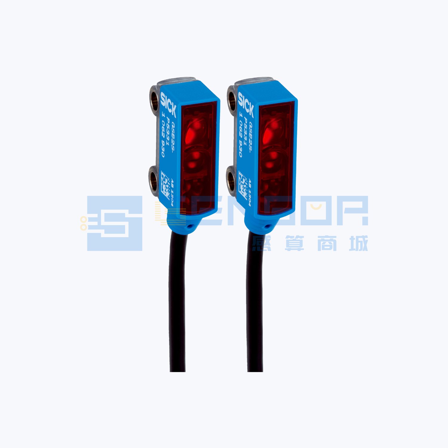 GSE2S-F1311
