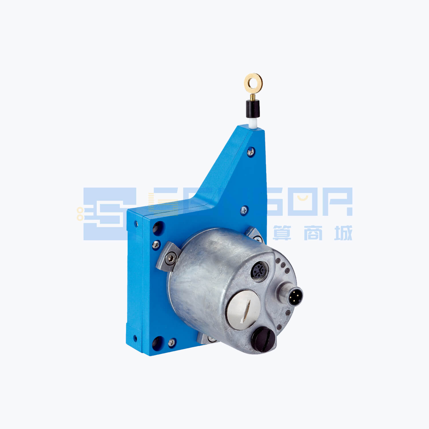 BCG08-I1BM0399