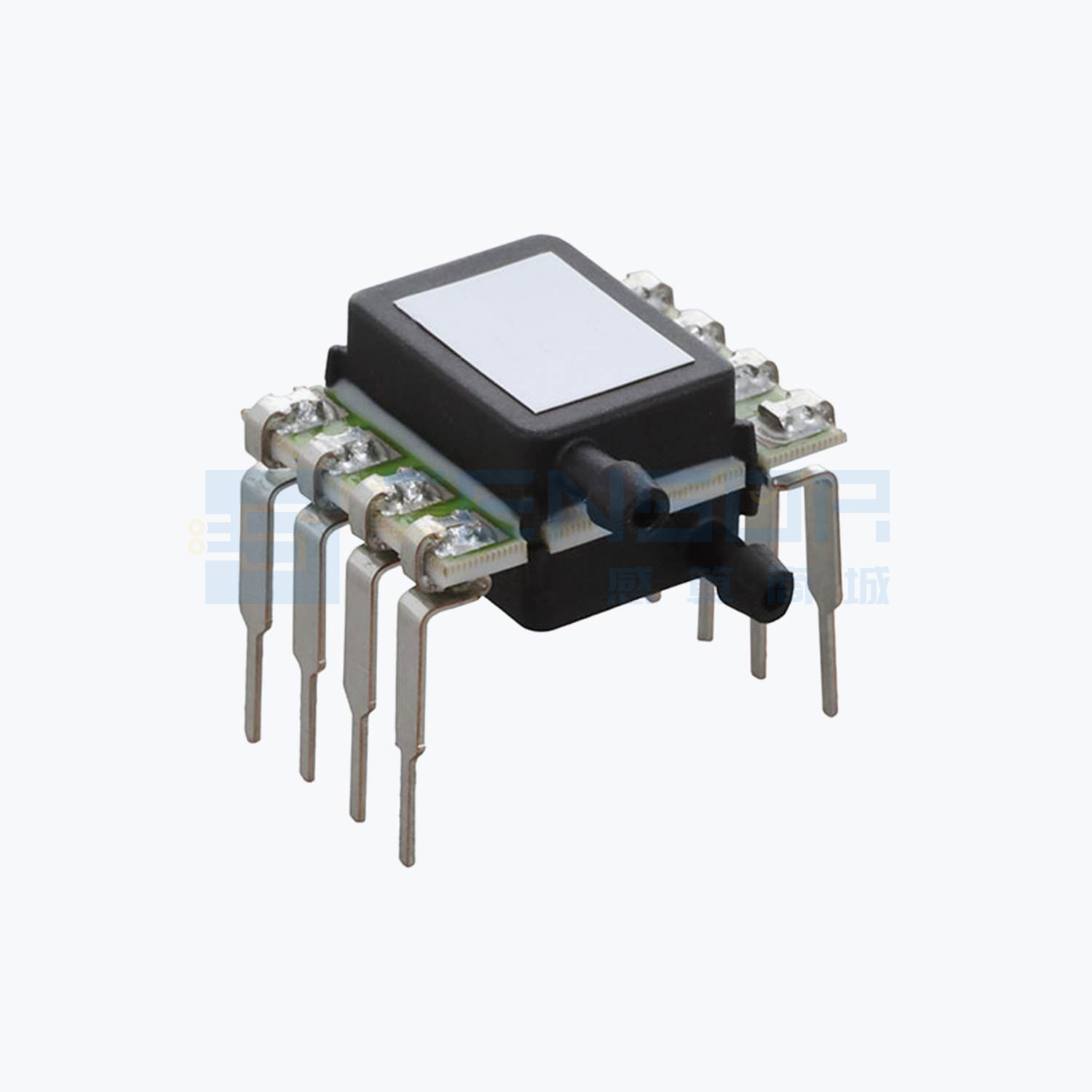P51-100-G-M-D-20MA-000-000