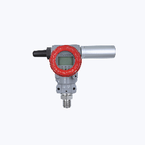 WCPS300RA002CD01-0200G2