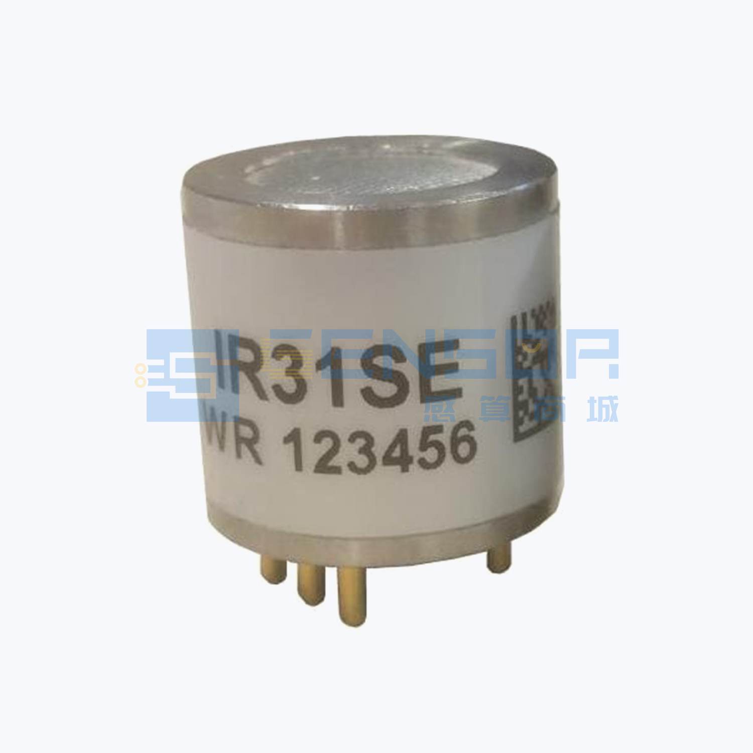 IR31SE