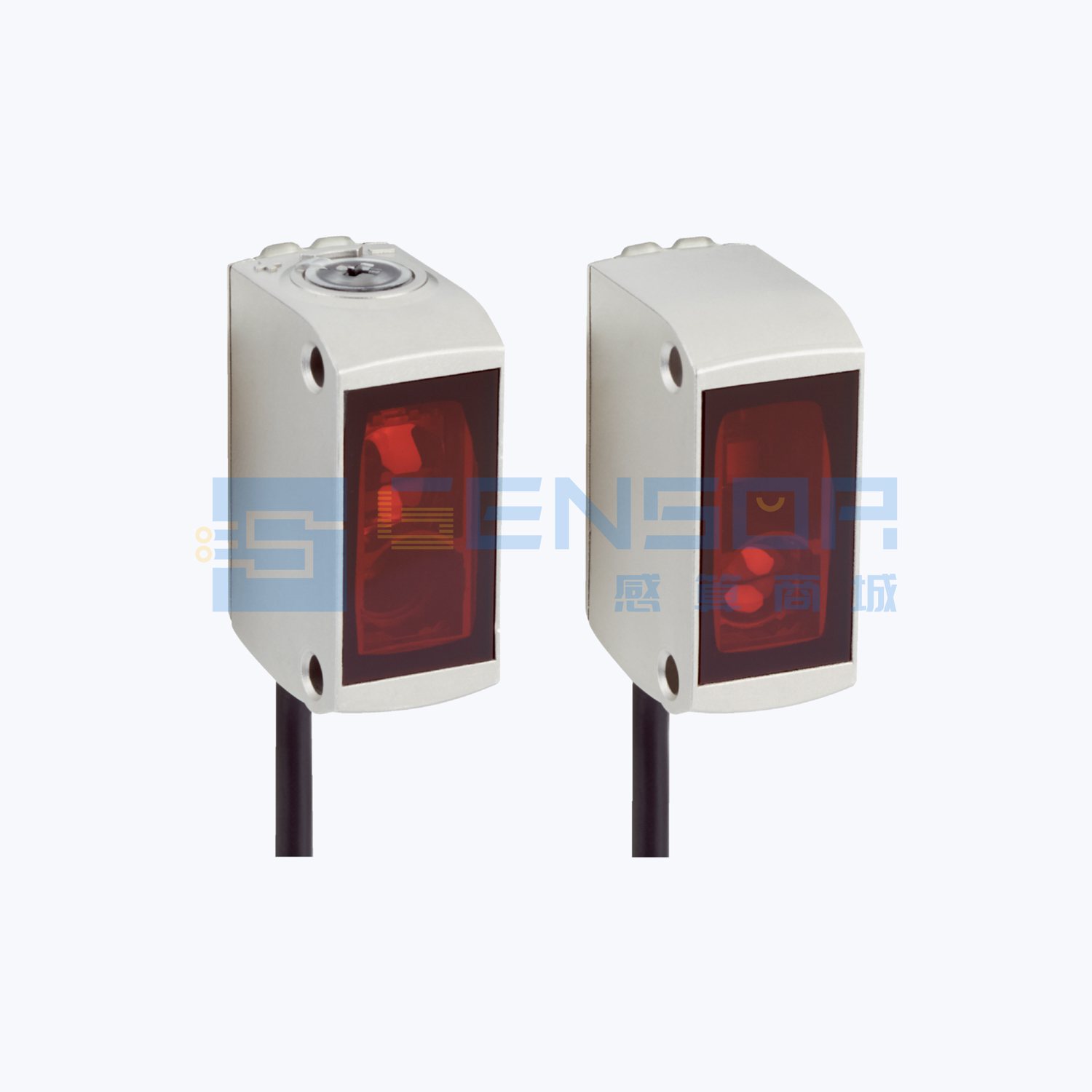 GSE6-E2421V