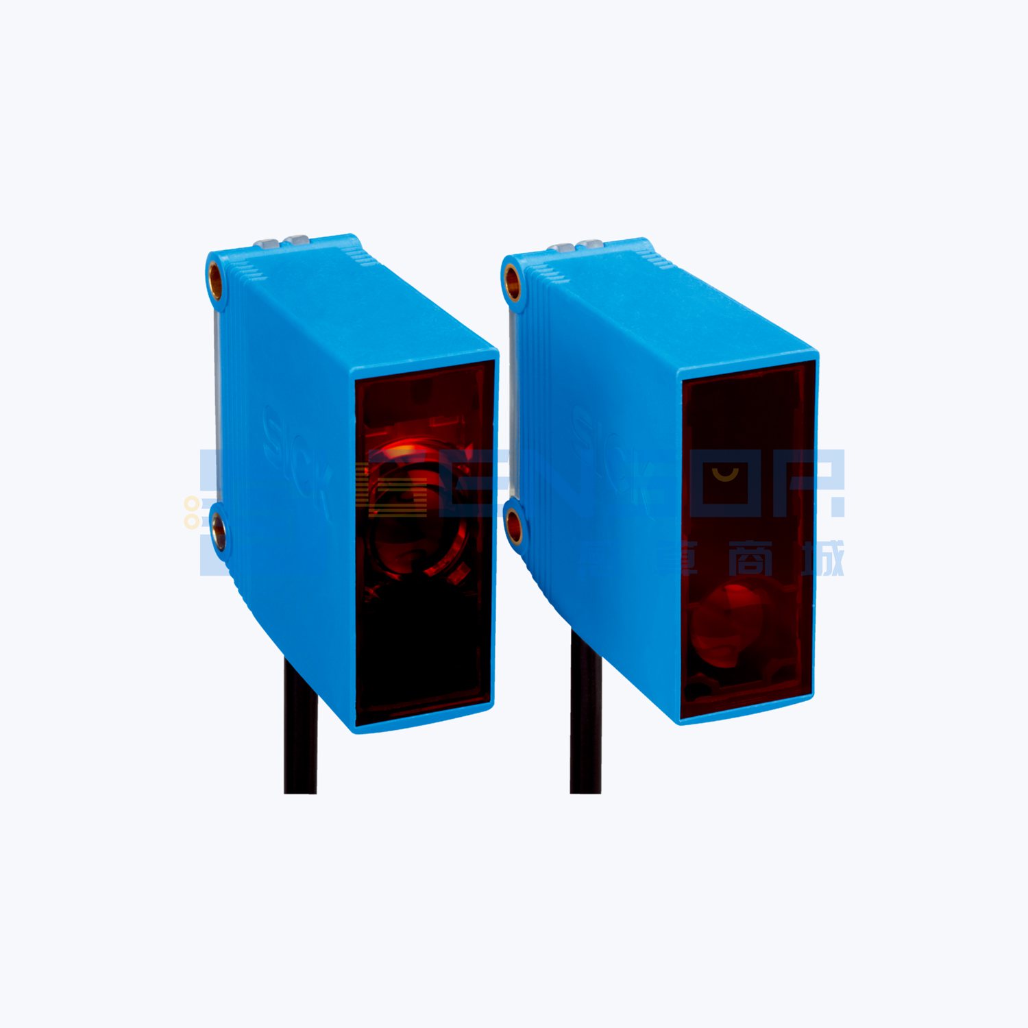 GSE10-R3721