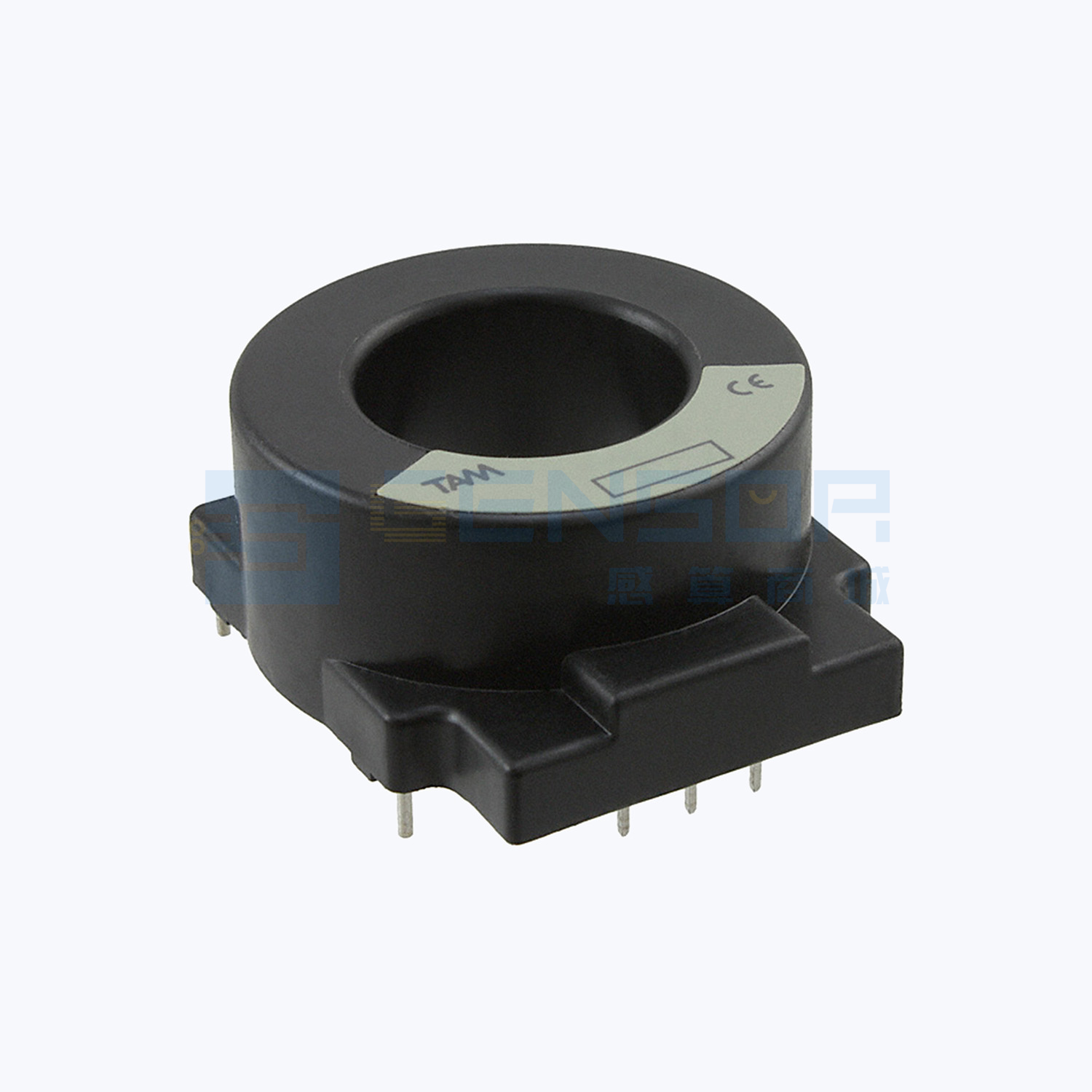 L06P300S05