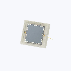 RD100A