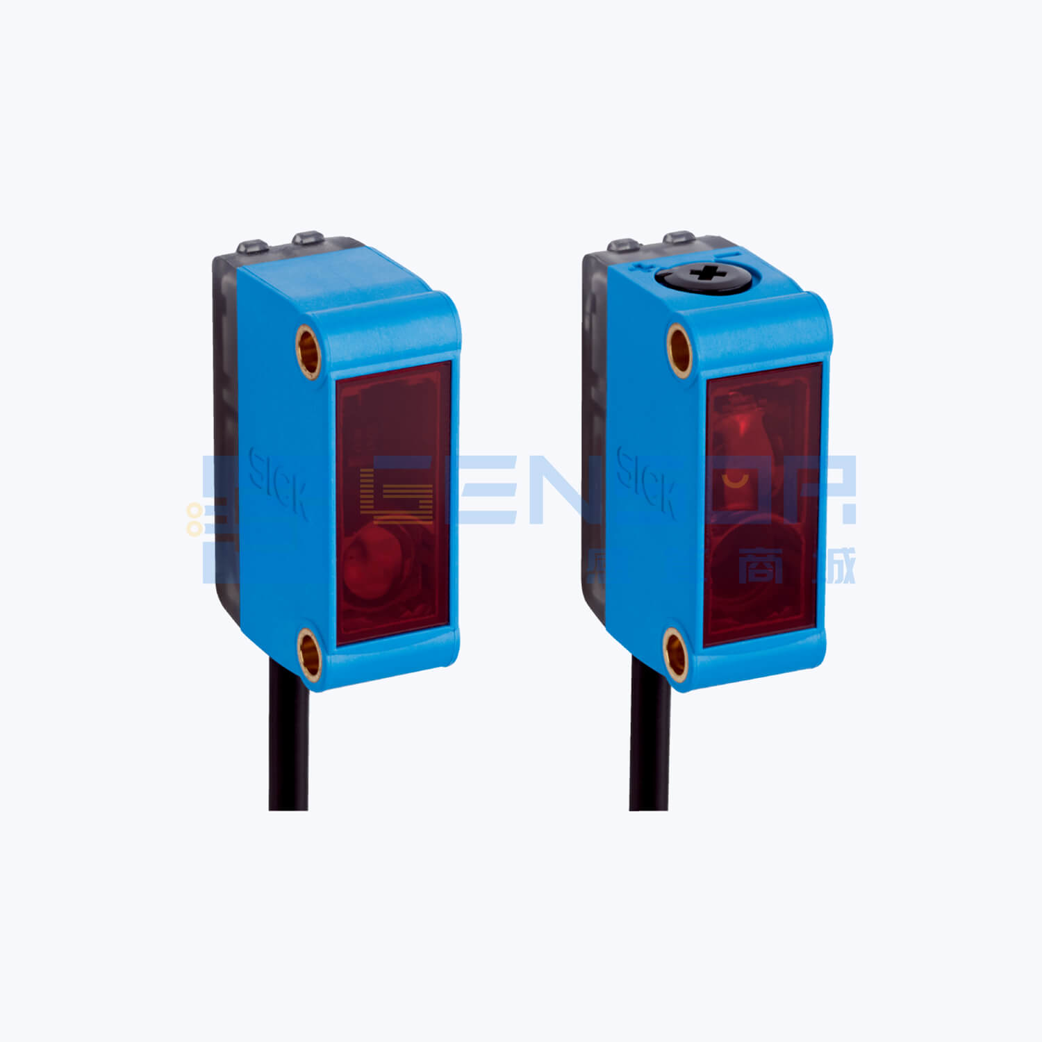 GSE6-P1211