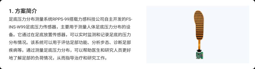足底压力分布测量系统RPPS-99方案1