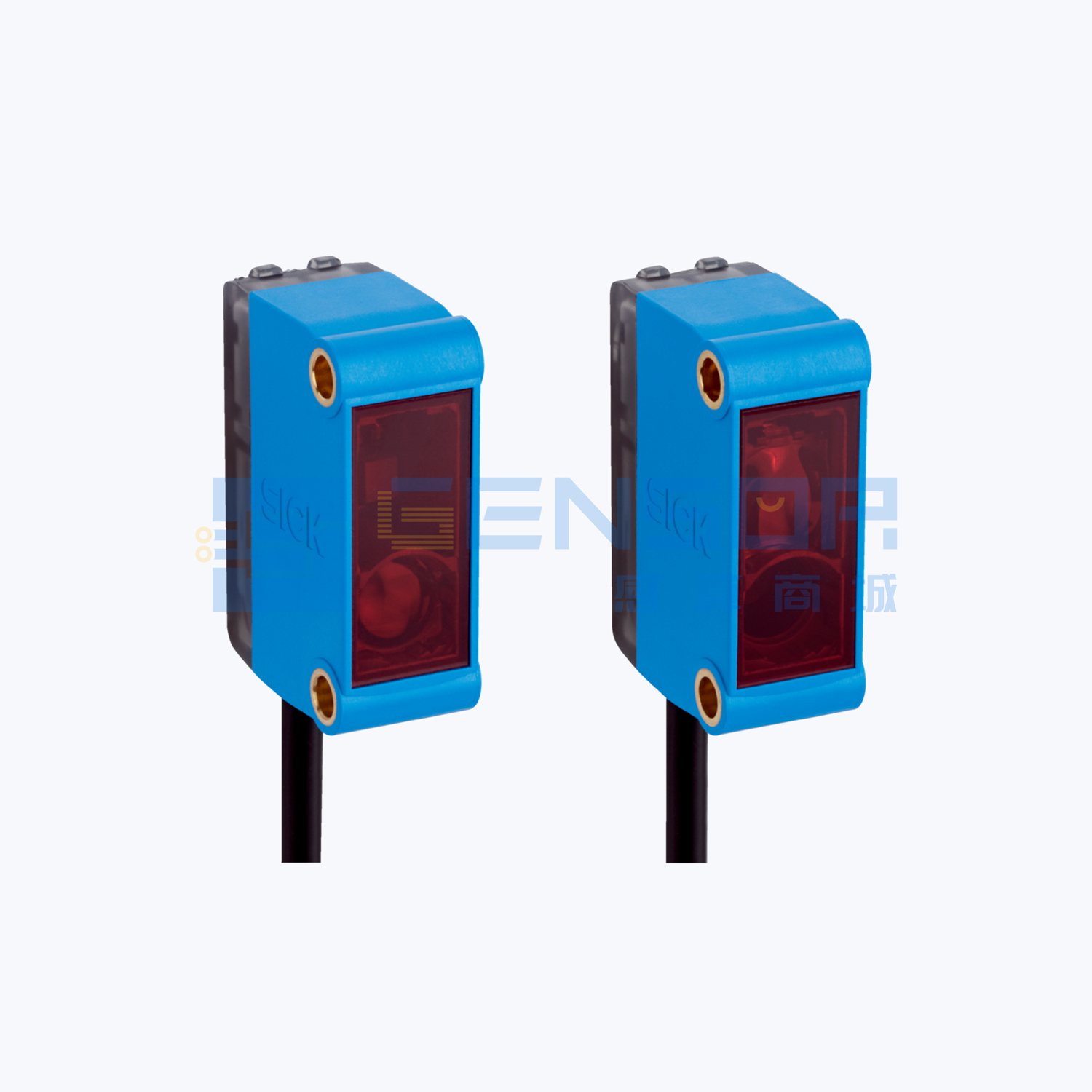 GSE6-P0321S71