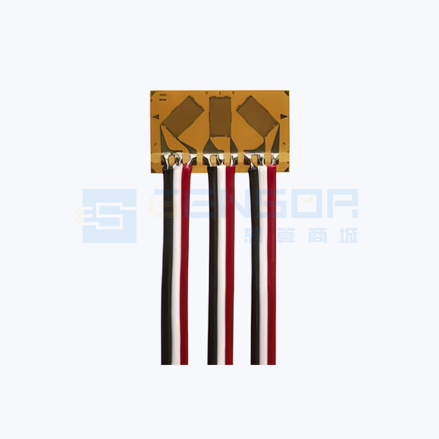 MMF405065