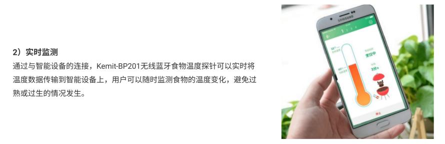 Kemit-BP201无线蓝牙食物温度探针方案3
