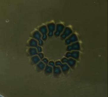 昆泰芯微电子新一代机器人关节磁编码器解决方案系列二