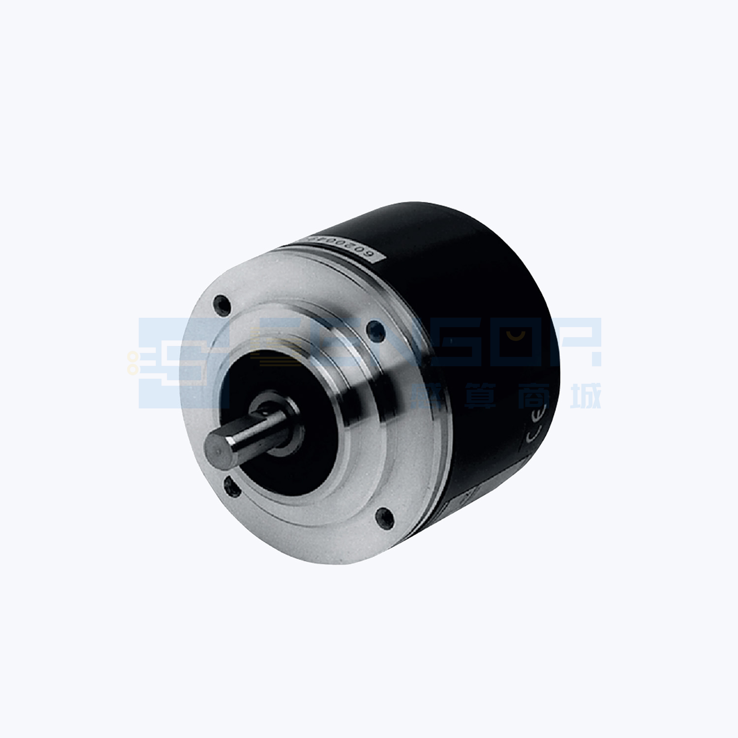 RVI78N-10CK2A31N-00300