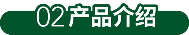 核电站“速效救心丸”——尼得科利莱森玛核级发电机5